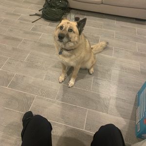 Meet your Posher, Scott